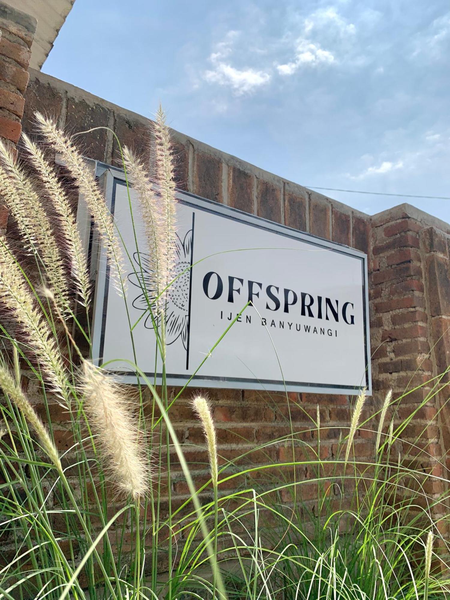 Offspring Ijen Hostel Banyuwangi Exterior photo